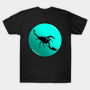 Scorpion Bright Light Blue Gradient T-Shirt